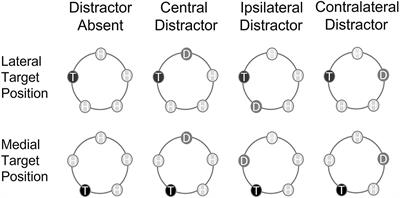 Searching on the Back: Attentional Selectivity in the Periphery of the Tactile Field